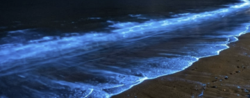 夢幻藍光即將點亮夜空！馬祖「藍眼淚」季暖身起跑